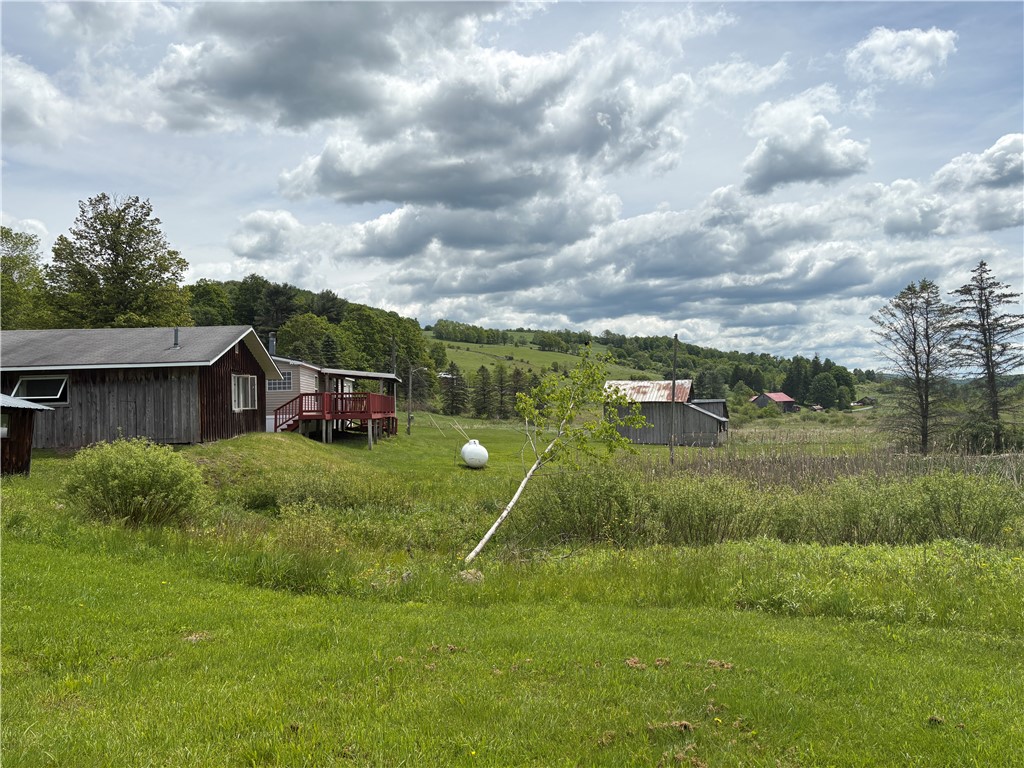 2027 West Platner Brook Road Delhi, NY 13753 - Photo 31 of 36