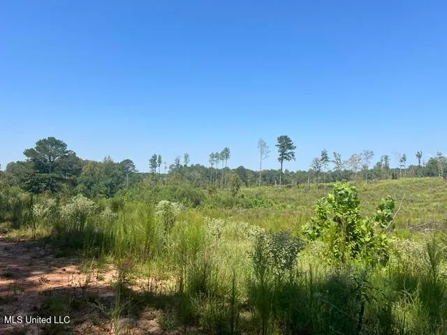 $259,200 | 2428 Co Road, Enterprise, MS 39330