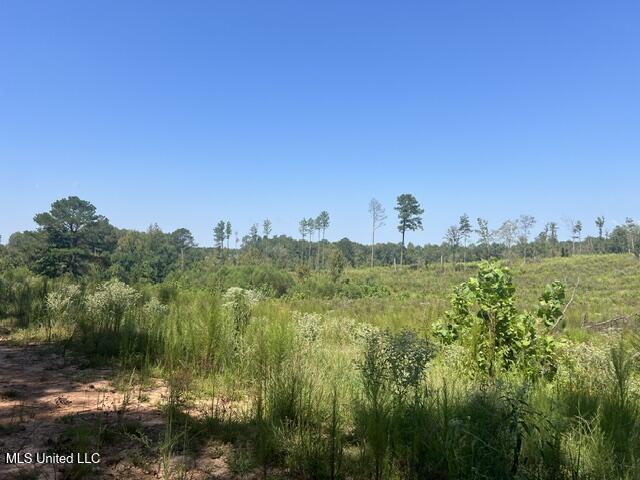 2428 Co Road Enterprise, MS 39330 - Photo 11 of 12 image10