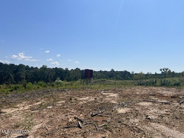 2428 Co Road Enterprise, MS 39330 - Photo 12 of 12 image2