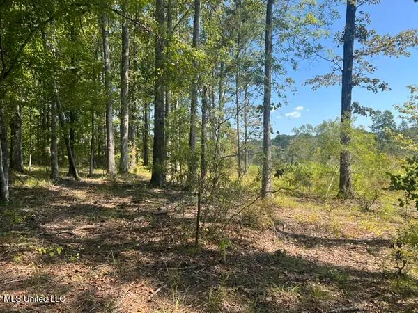 $259,200 | 2428 Co Road, Enterprise, MS 39330