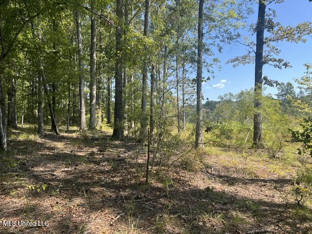 2428 Co Road Enterprise, MS 39330 - Photo 2 of 12 image3