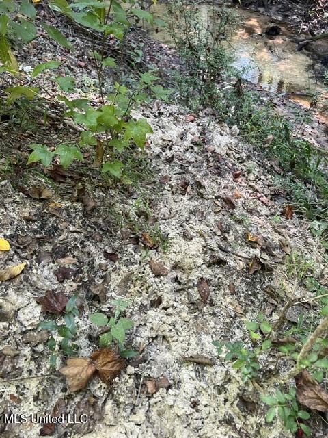 2428 Co Road Enterprise, MS 39330 - Photo 3 of 12 image15