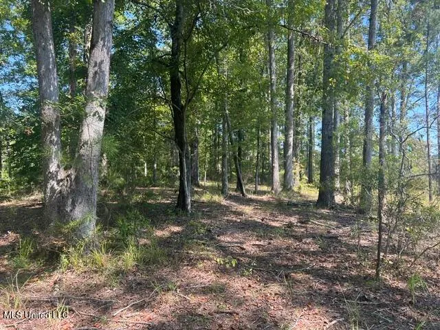 $259,200 | 2428 Co Road, Enterprise, MS 39330