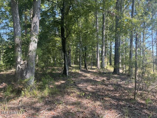 2428 Co Road Enterprise, MS 39330 - Photo 4 of 12 image8
