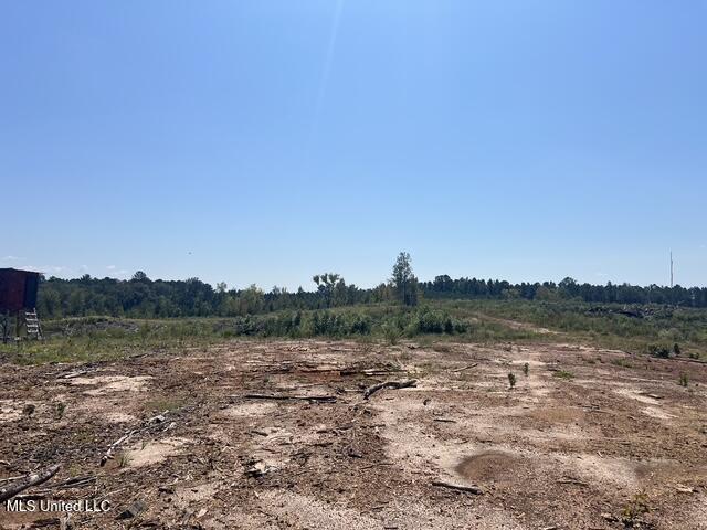 2428 Co Road Enterprise, MS 39330 - Photo 5 of 12 image0