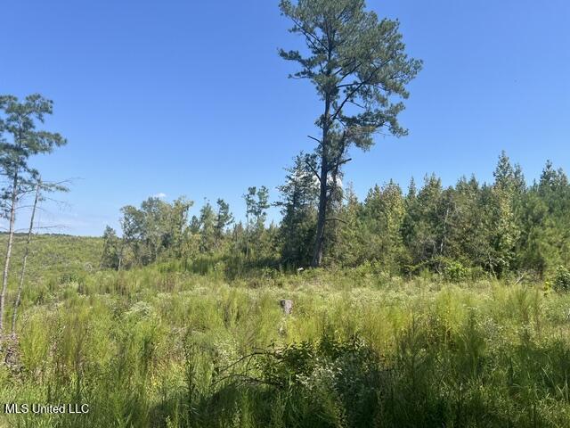 2428 Co Road Enterprise, MS 39330 - Photo 6 of 12 image13