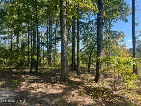 $259,200 | 2428 Co Road, Enterprise, MS 39330