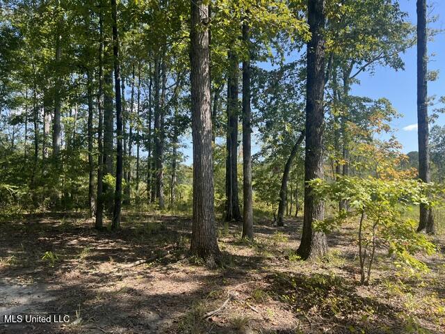 2428 Co Road Enterprise, MS 39330 - Photo 7 of 12 image5