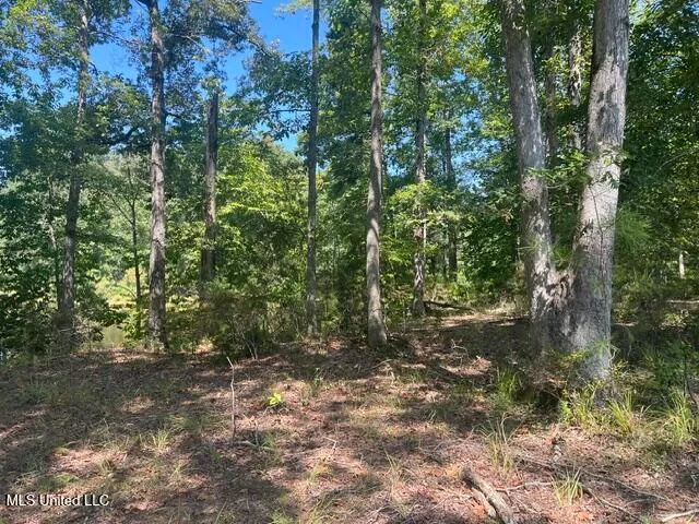 $259,200 | 2428 Co Road, Enterprise, MS 39330