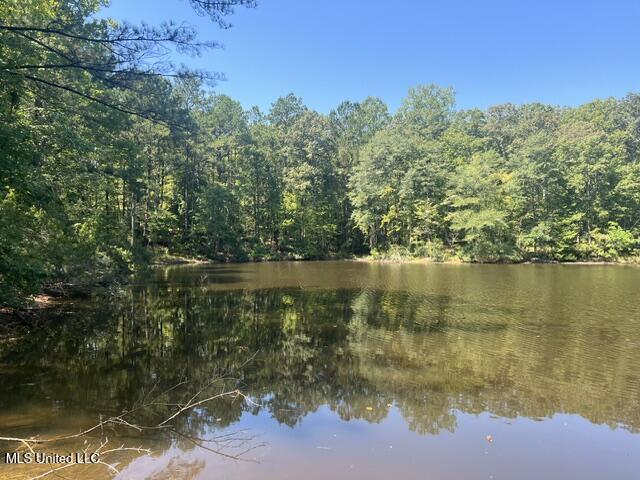 2428 Co Road Enterprise, MS 39330 - Photo 10 of 12 image9