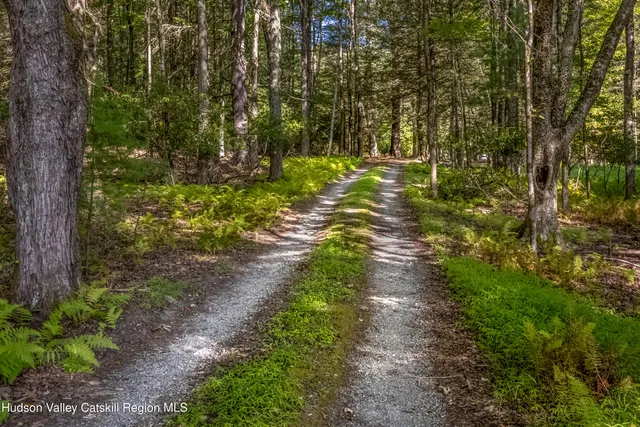 a view of outdoor space and a yard