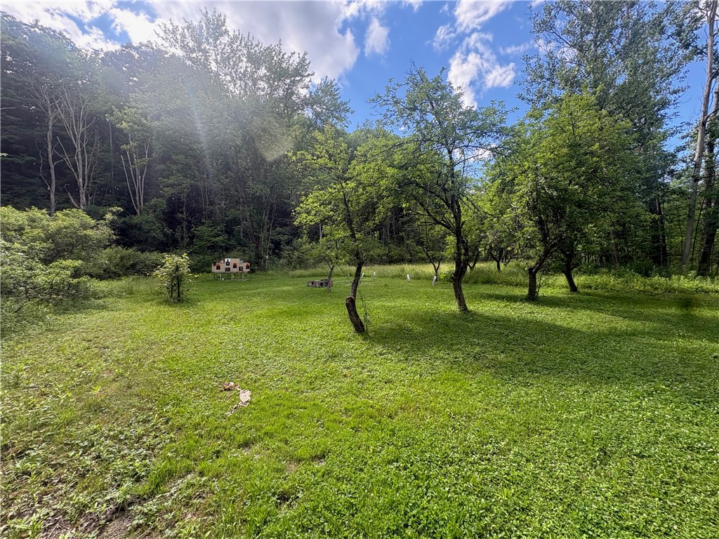 3753 Watkins Road Veteran, NY 14864 - Photo 20 of 24