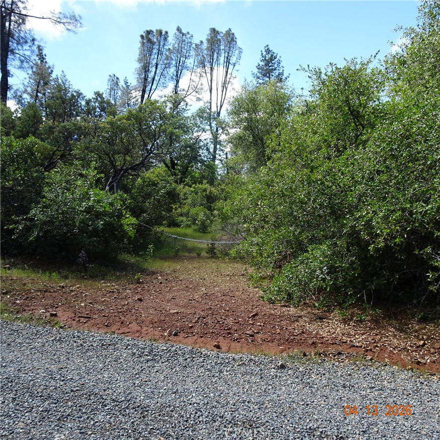 0 Powell Ridge Road Oroville, CA 95966 - Photo 6 of 9