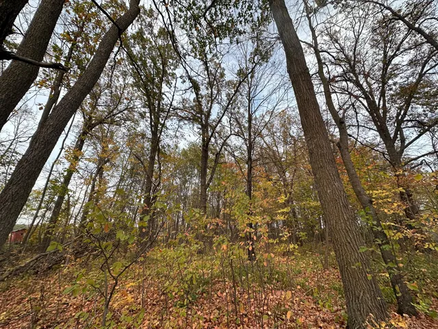 $239,800 | 56715 480th Street, New York Mills, MN 56567