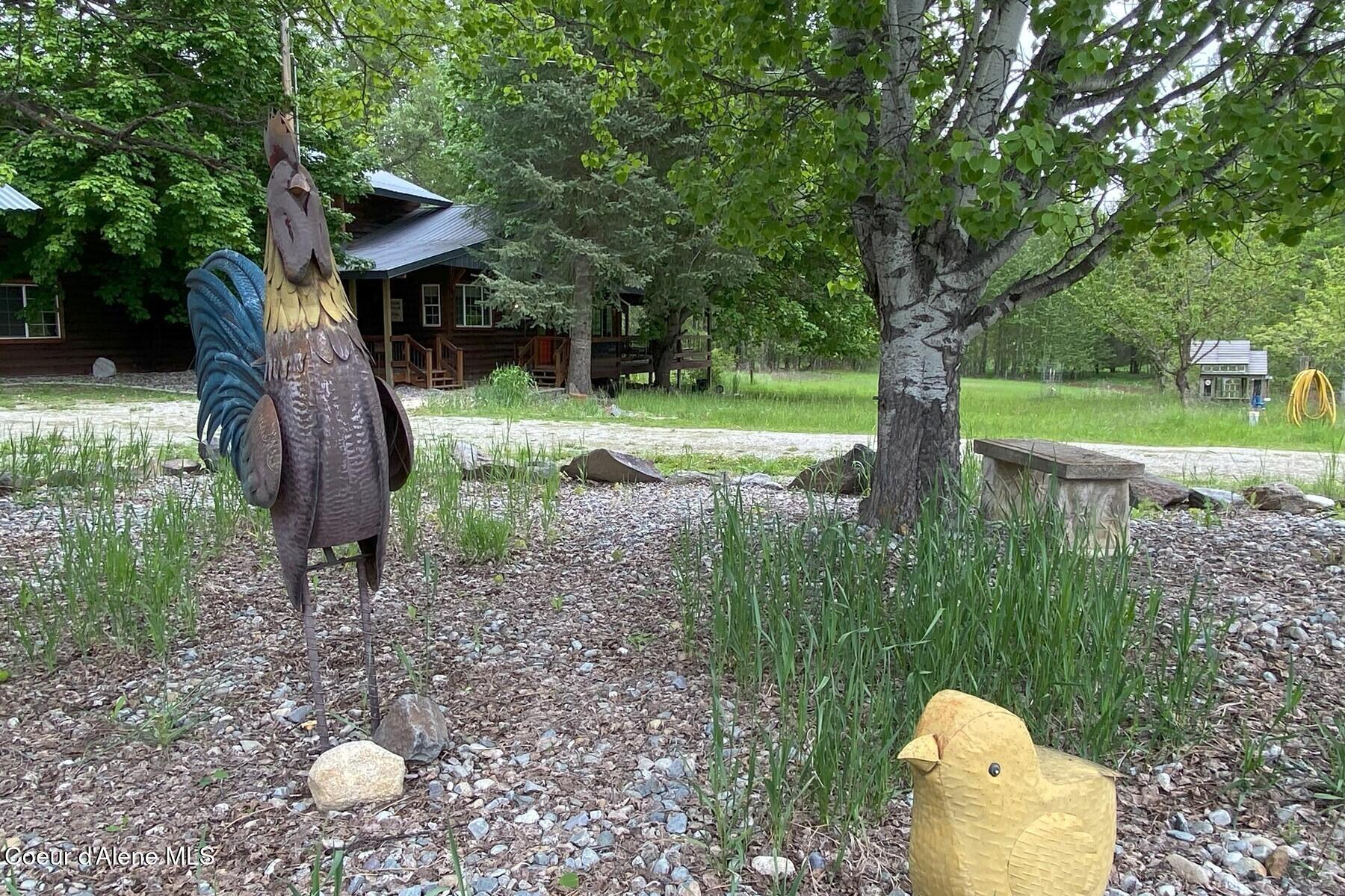 429 Barnhart Road Careywood, ID 83809 - Photo 11 of 57 Chicken Art for the farm of cou