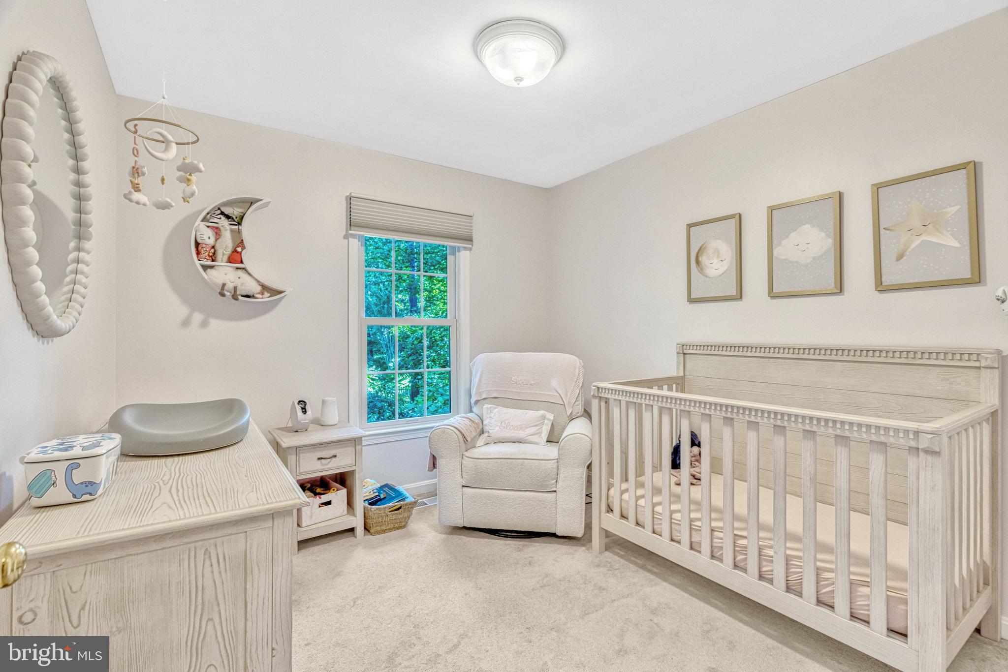 11702 Great Owl Circle Reston, VA 20194 - Photo 20 of 31 Gallery Image 20