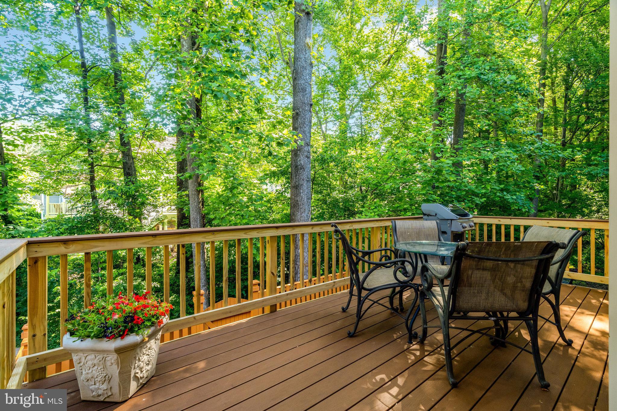11702 Great Owl Circle Reston, VA 20194 - Photo 24 of 31 Gallery Image 24