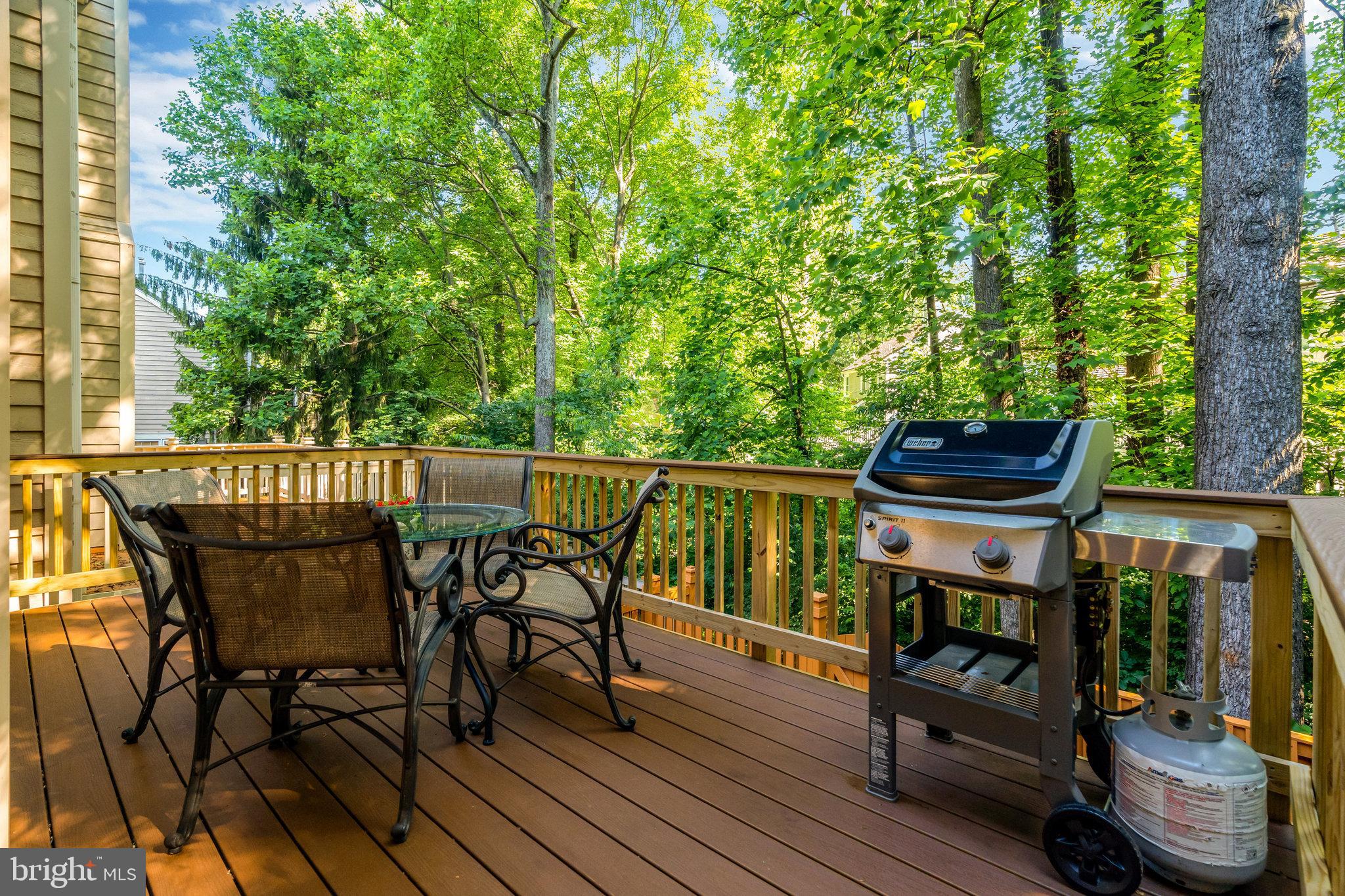 11702 Great Owl Circle Reston, VA 20194 - Photo 25 of 31 Gallery Image 25