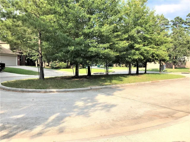 a view of yard with tree s