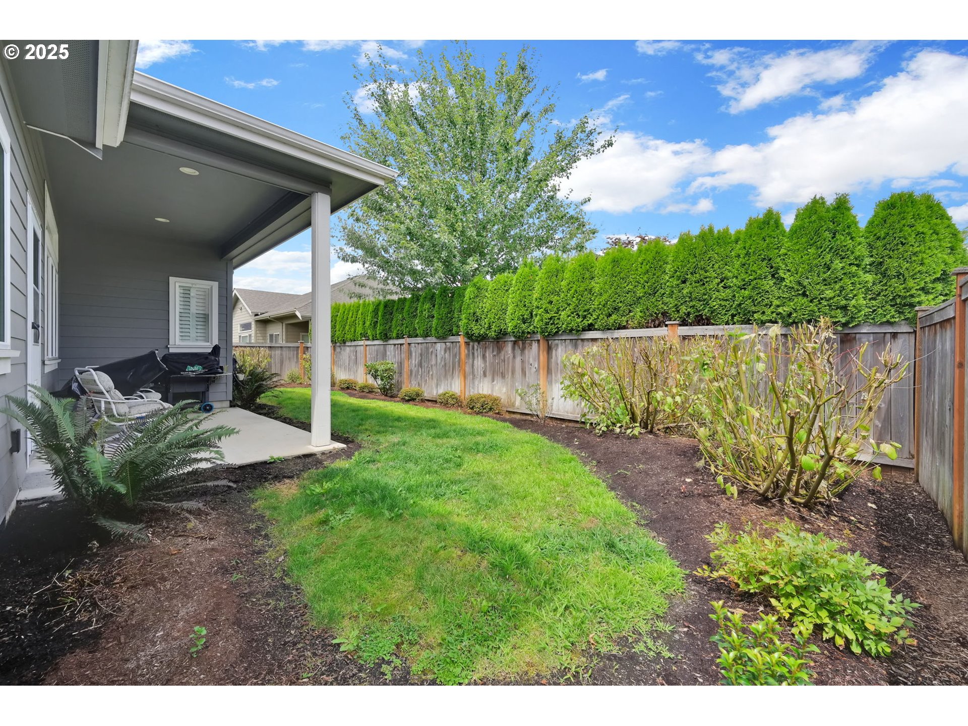970 Lupine Street Springfield, OR 97477 - Photo 43 of 47 a view of a backyard with plants and a patio