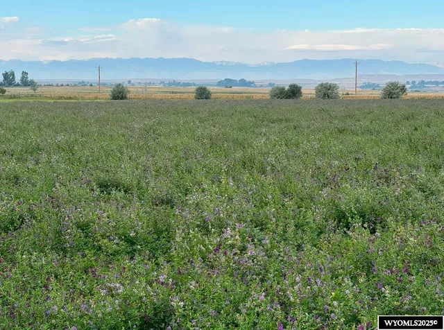 $289,000 | 0 8 8 Mile Road, Riverton, WY 82501