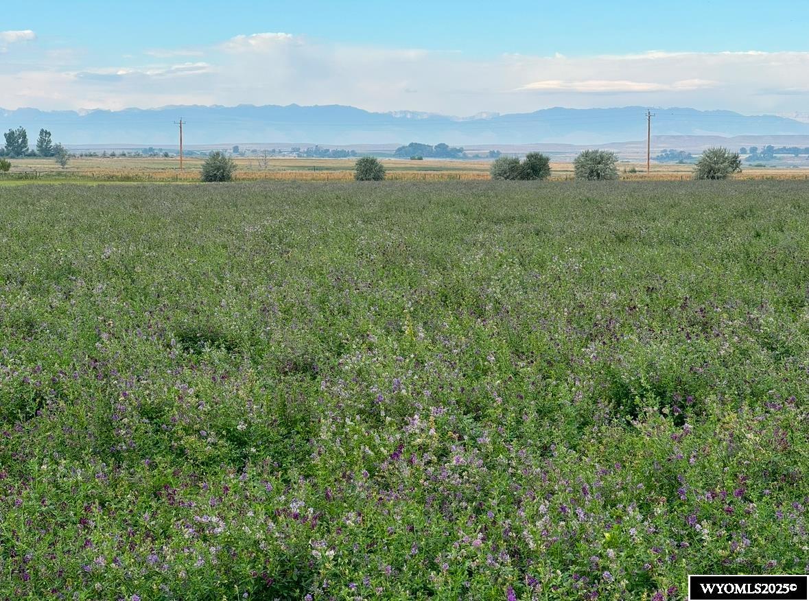 0 8 8 Mile Road Riverton, WY 82501 - Photo 3 of 9