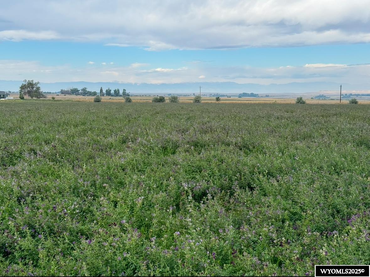 0 8 8 Mile Road Riverton, WY 82501 - Photo 8 of 9