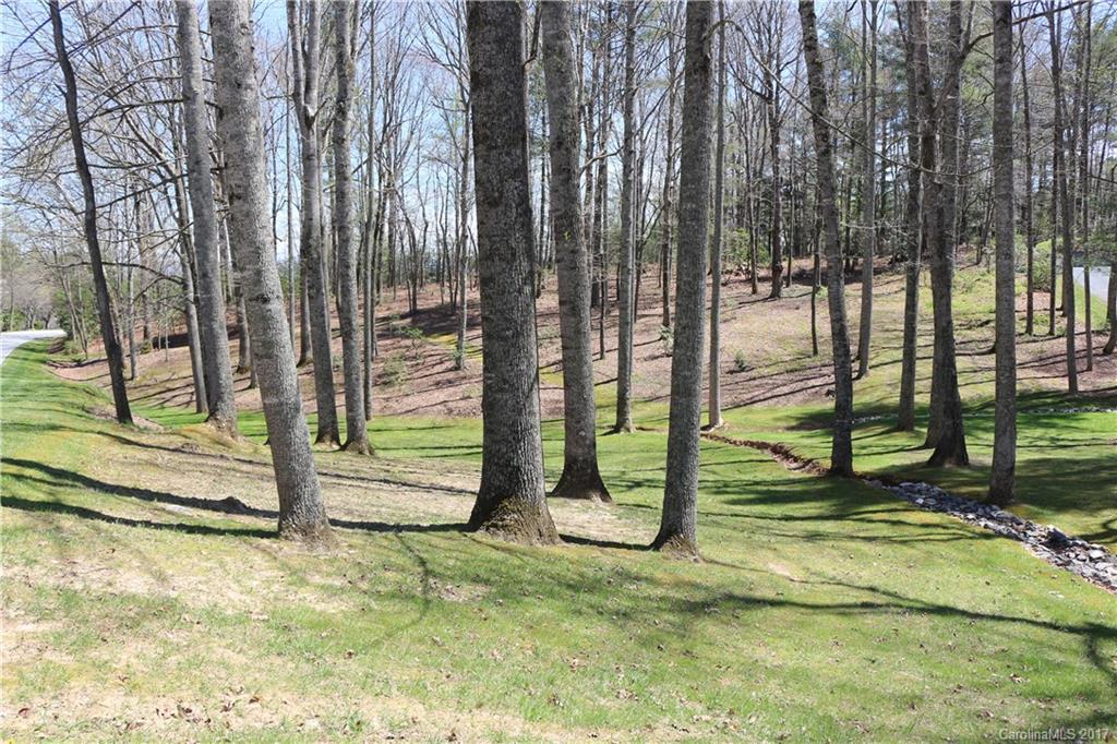 3391 Butler Bridge Road Mills River, NC 28759 - Photo 5 of 23 Gallery Image 5