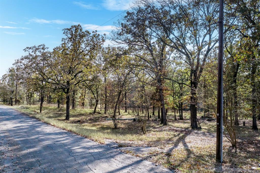 5540 Point Lavista Malakoff, TX 75148 - Photo 6 of 16 a view of yard