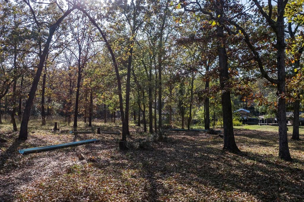5540 Point Lavista Malakoff, TX 75148 - Photo 7 of 16 a view of outdoor space with lots of trees
