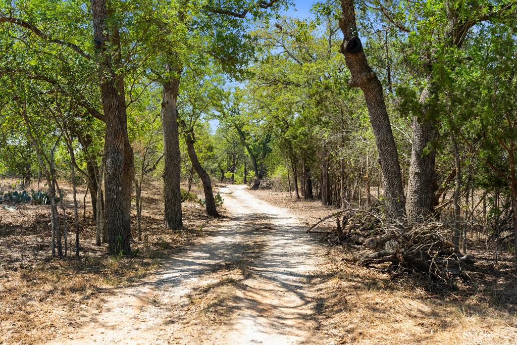 1631 Ranch Road 1631 Fredericksburg, TX 78624 - Photo 1 of 27 Main View