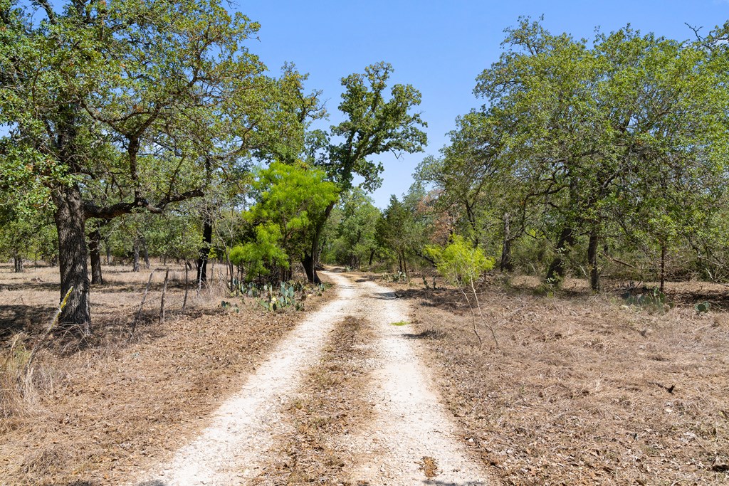1631 Ranch Road 1631 Fredericksburg, TX 78624 - Photo 11 of 27