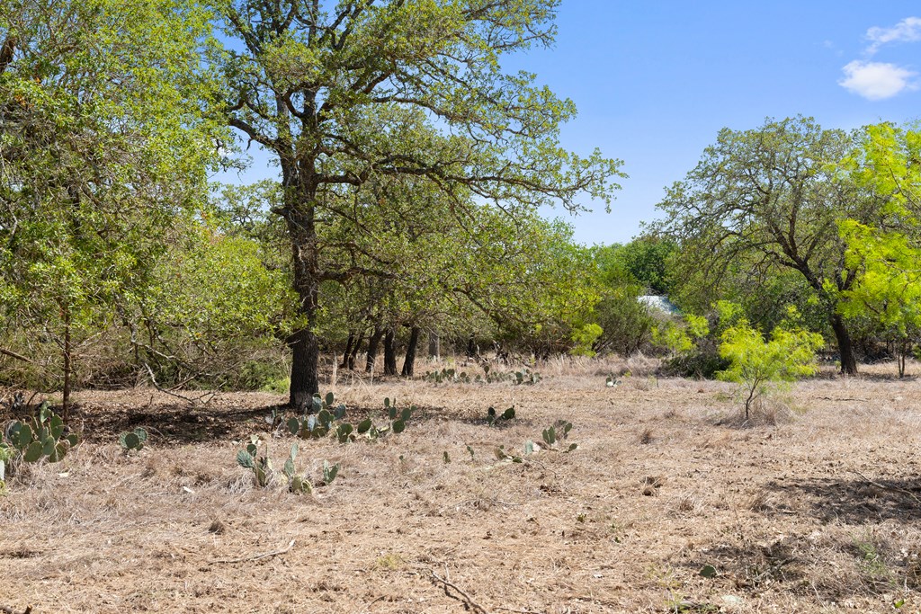 1631 Ranch Road 1631 Fredericksburg, TX 78624 - Photo 12 of 27