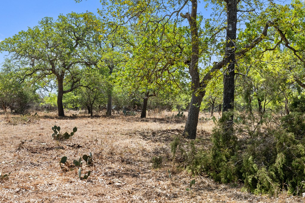 1631 Ranch Road 1631 Fredericksburg, TX 78624 - Photo 13 of 27