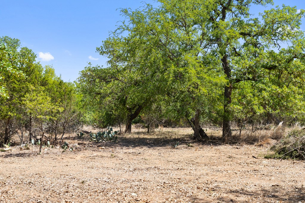 1631 Ranch Road 1631 Fredericksburg, TX 78624 - Photo 14 of 27