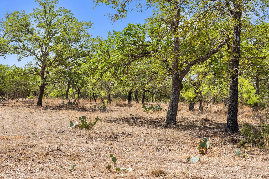 1631 Ranch Road 1631 Fredericksburg, TX 78624 - Photo 16 of 27