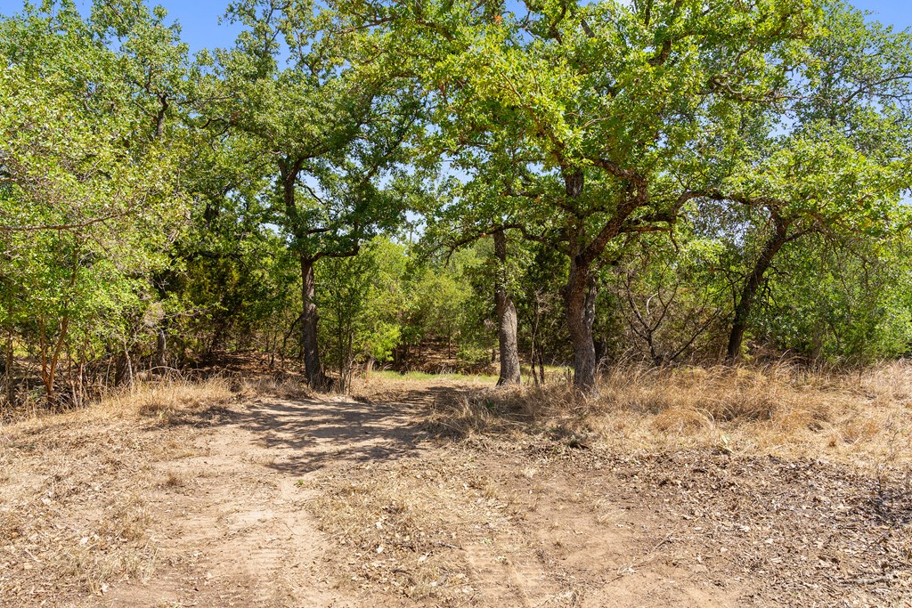 1631 Ranch Road 1631 Fredericksburg, TX 78624 - Photo 18 of 27