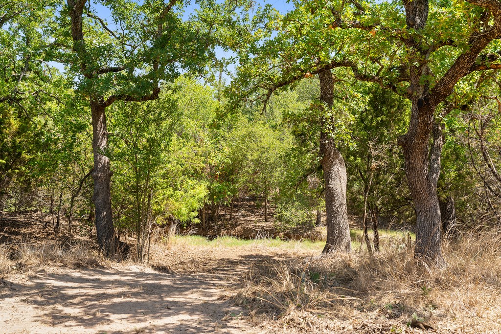 1631 Ranch Road 1631 Fredericksburg, TX 78624 - Photo 19 of 27