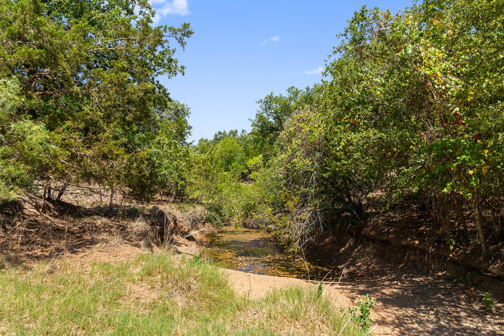 1631 Ranch Road 1631 Fredericksburg, TX 78624 - Photo 20 of 27