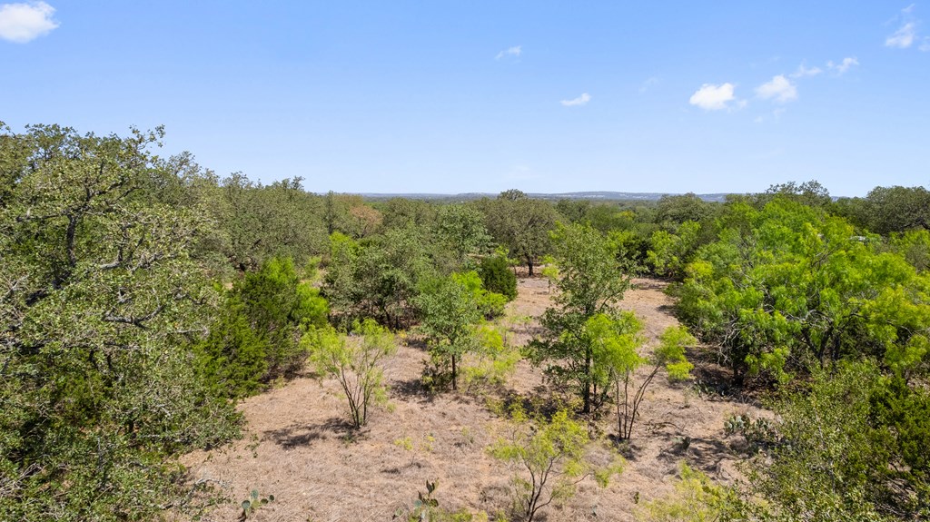 1631 Ranch Road 1631 Fredericksburg, TX 78624 - Photo 2 of 27