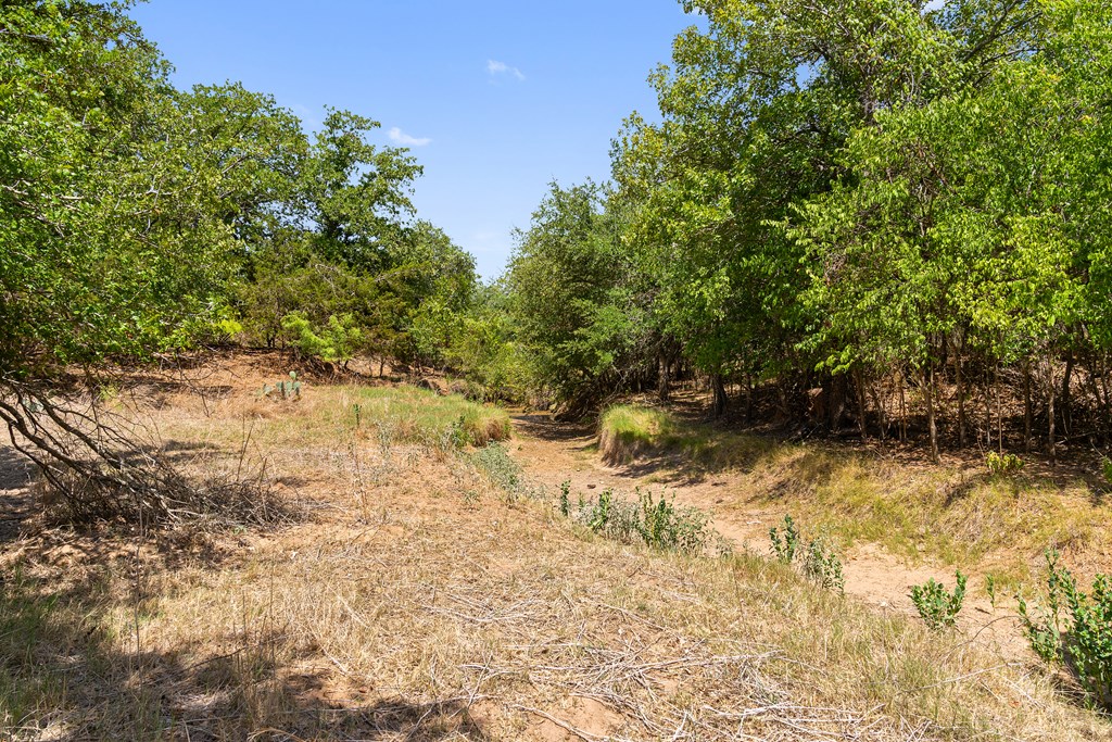 1631 Ranch Road 1631 Fredericksburg, TX 78624 - Photo 22 of 27