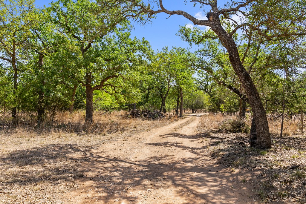 1631 Ranch Road 1631 Fredericksburg, TX 78624 - Photo 25 of 27