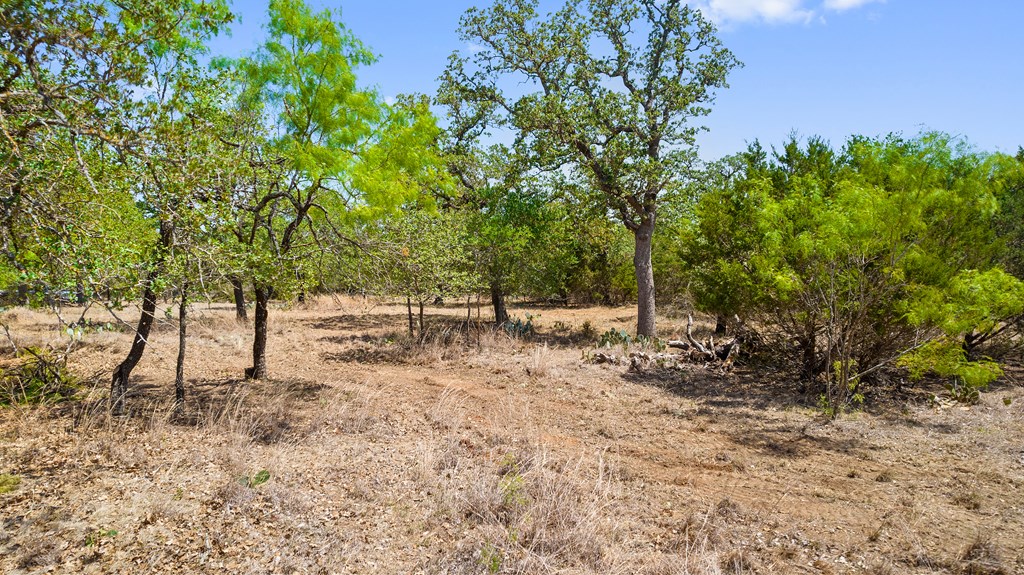 1631 Ranch Road 1631 Fredericksburg, TX 78624 - Photo 4 of 27