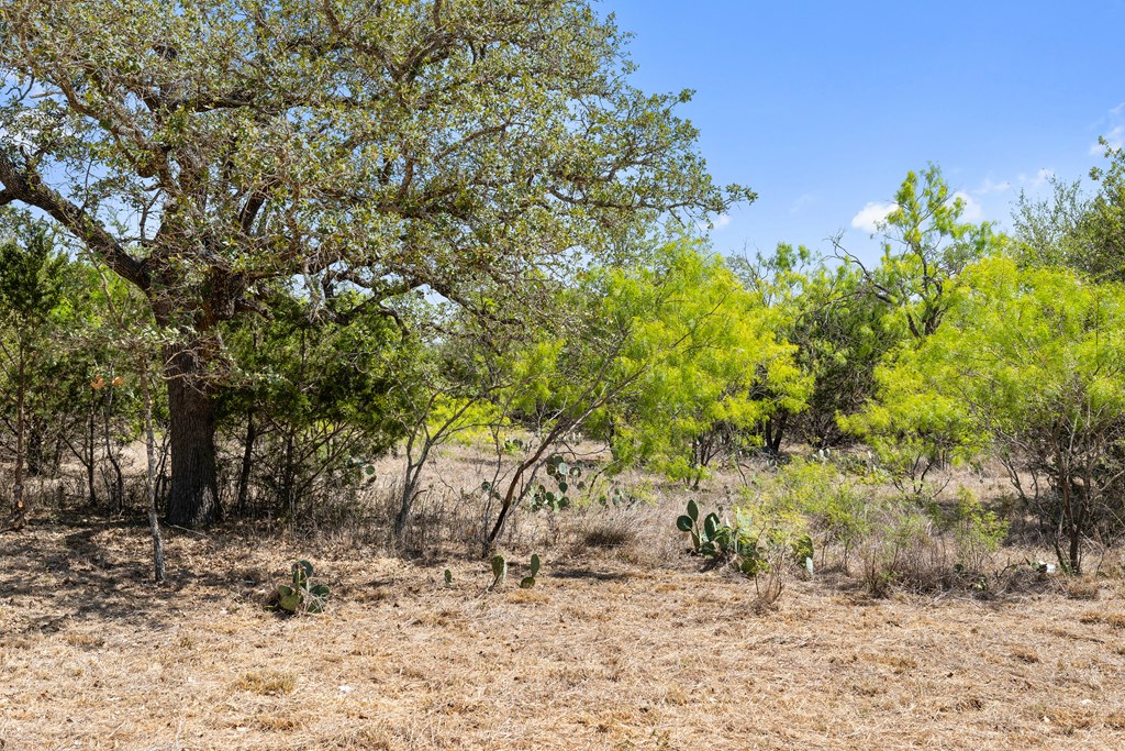 1631 Ranch Road 1631 Fredericksburg, TX 78624 - Photo 7 of 27