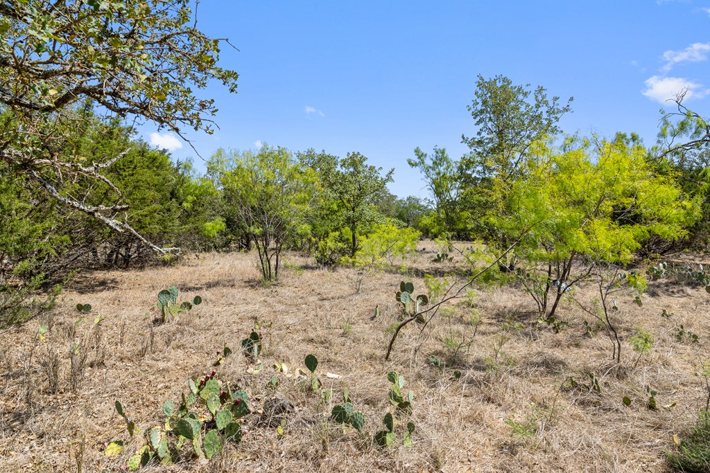 1631 Ranch Road 1631 Fredericksburg, TX 78624 - Photo 8 of 27