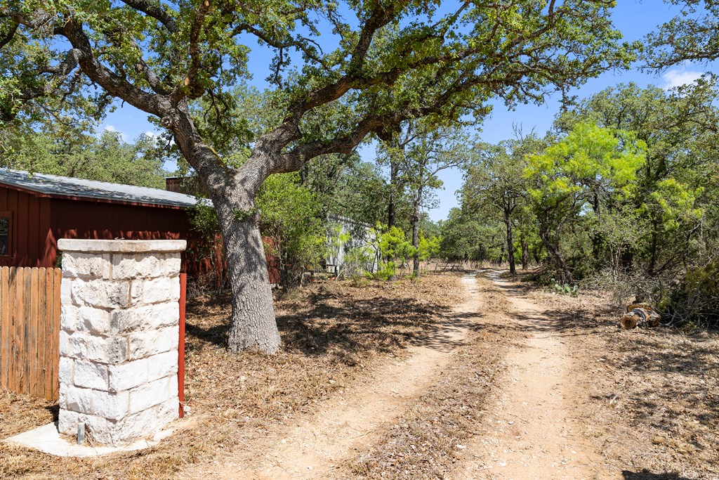 1631 Ranch Road 1631 Fredericksburg, TX 78624 - Photo 10 of 27