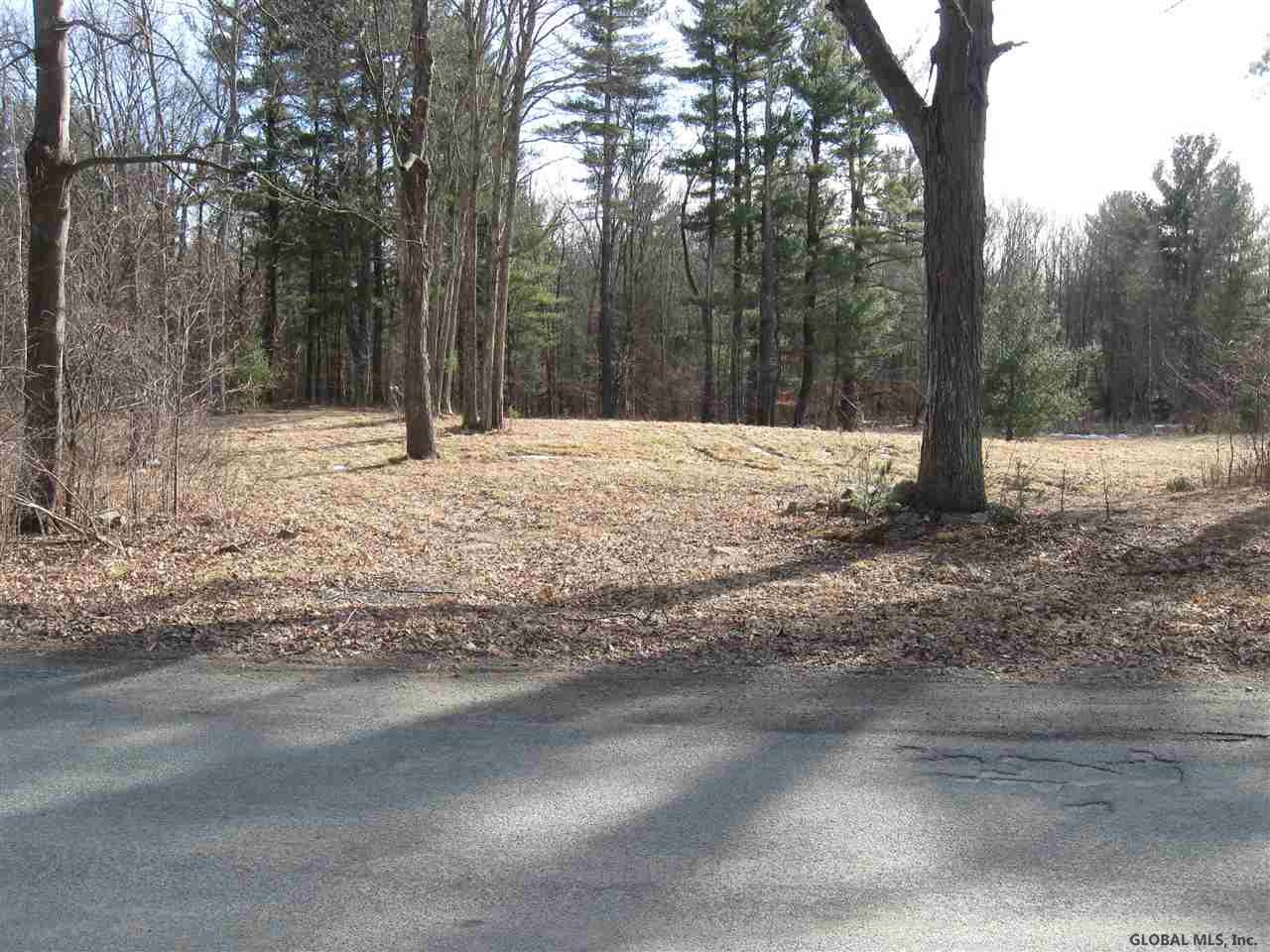 90 Wisner Road Sand Lake, NY 12153 - Photo 1 of 15 Photo 1