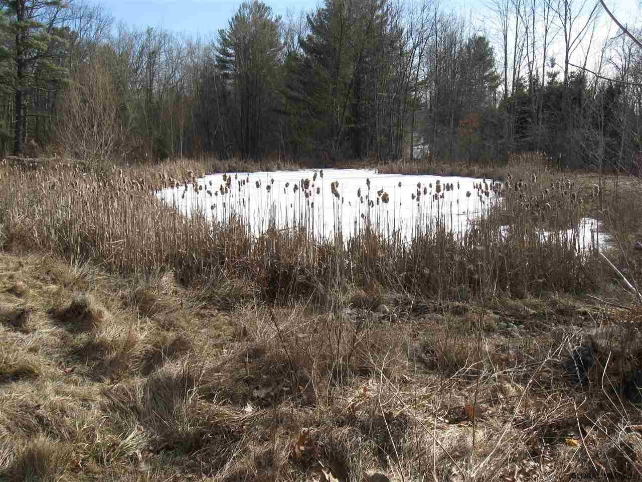 90 Wisner Road Sand Lake, NY 12153 - Photo 12 of 15 Photo 12