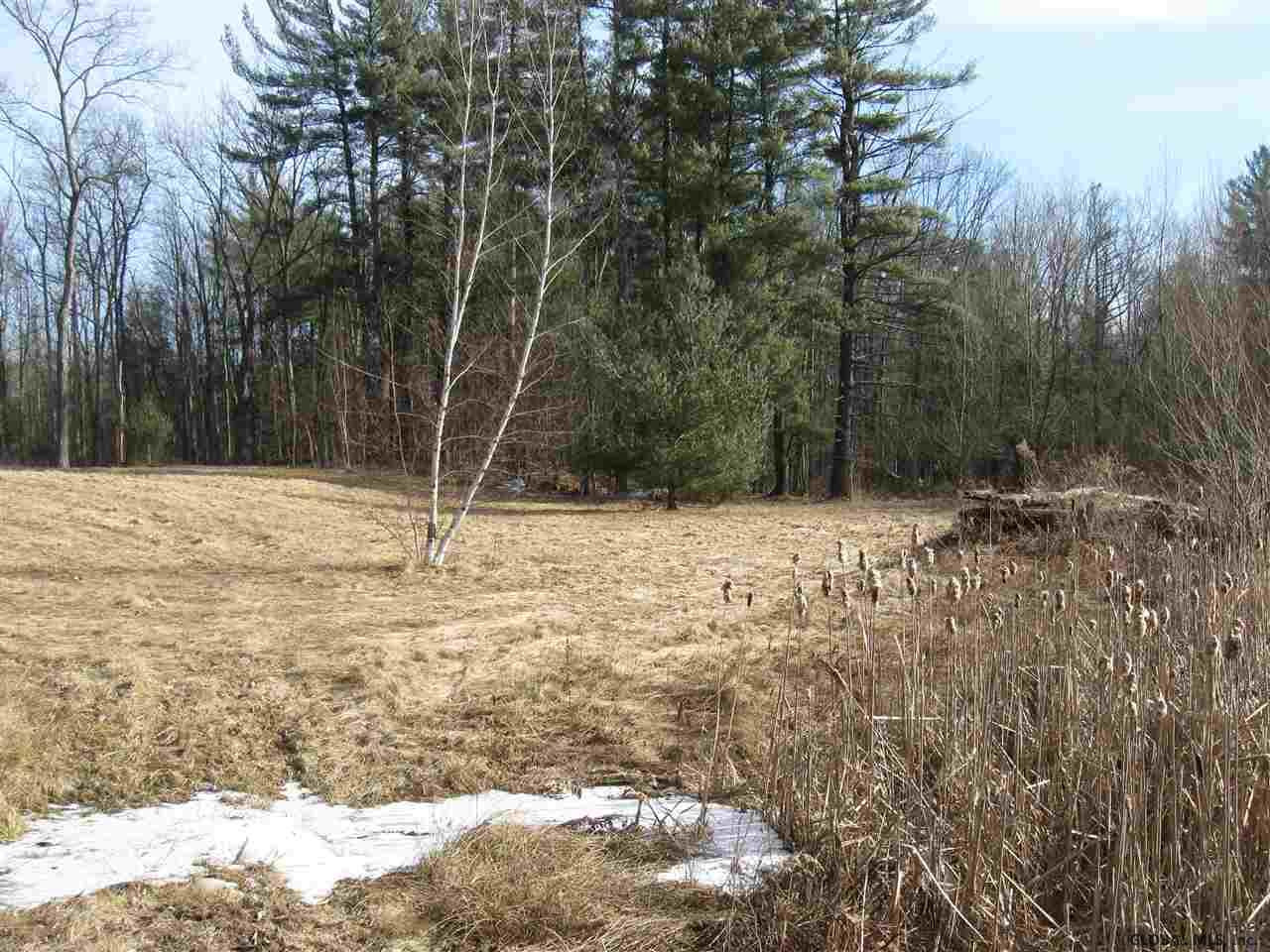 90 Wisner Road Sand Lake, NY 12153 - Photo 13 of 15 Photo 13